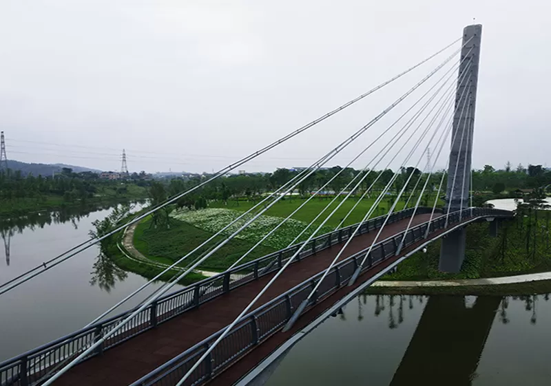 Cable-Stayed Bridge System