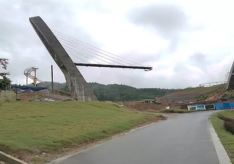 Cable-Stayed Bridge System